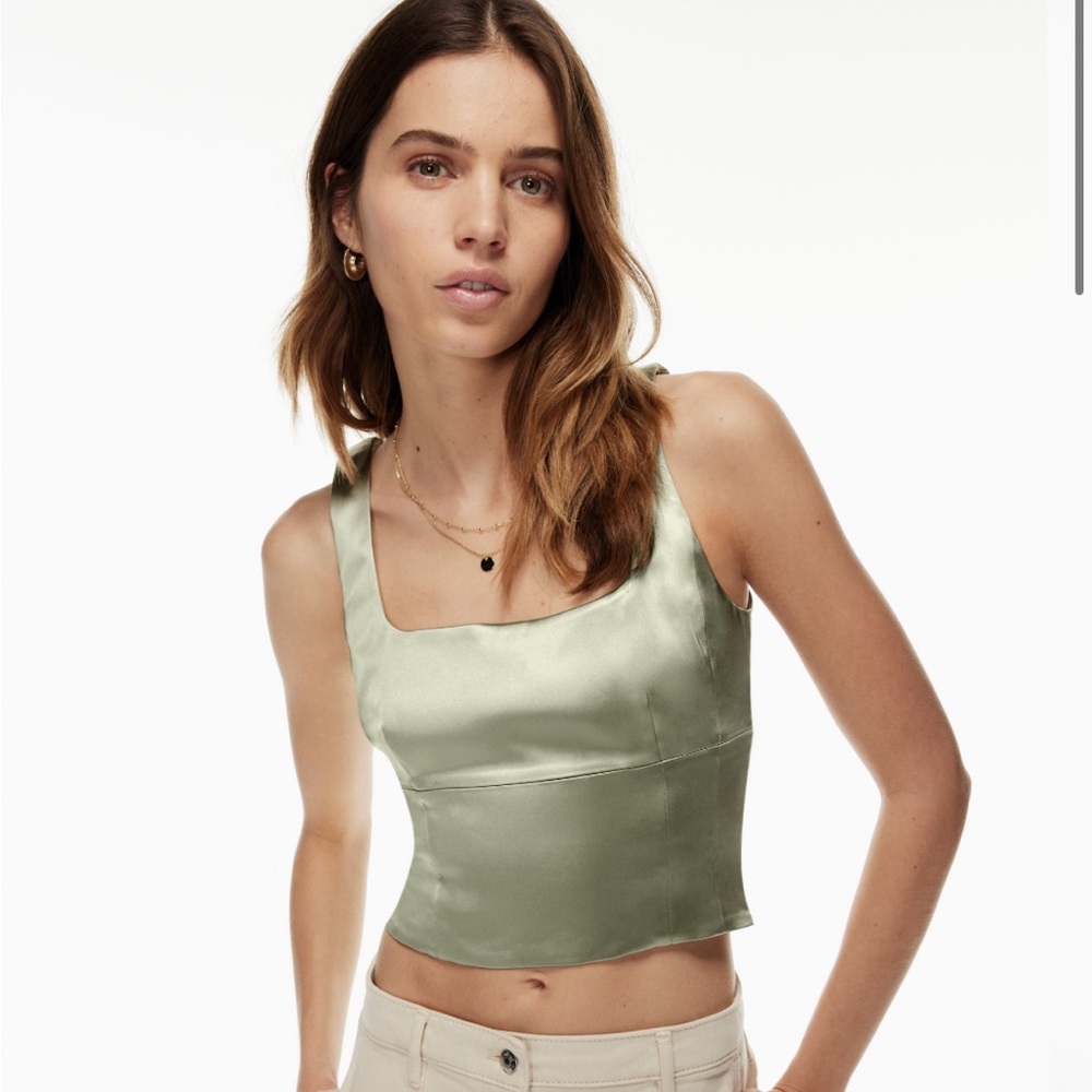 Aritzia Wilfred Shine Bustier Top